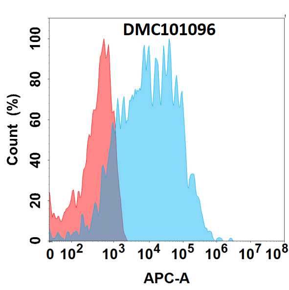 Anti-SEZ6 antibody(31A10), IgG1 Chimeric mAb