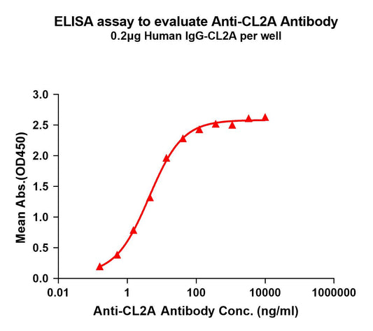 Anti-CL2A(ADC linker) antibody(1G9); Rabbit mAb