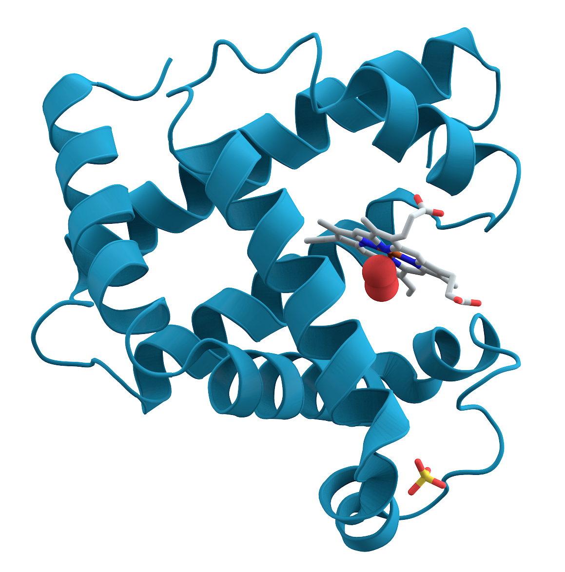 Recombinant Human Elongation factor 1-gamma